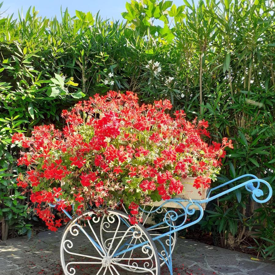 Hotel Garden B&B Маротта Экстерьер фото